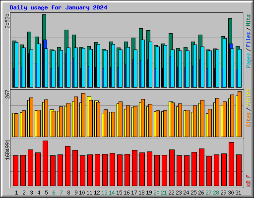 Daily usage for January 2024