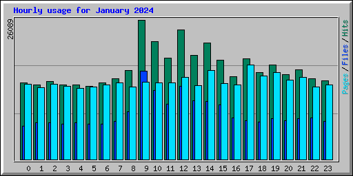 Hourly usage for January 2024