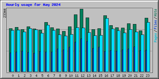 Hourly usage for May 2024