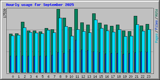 Hourly usage for September 2025