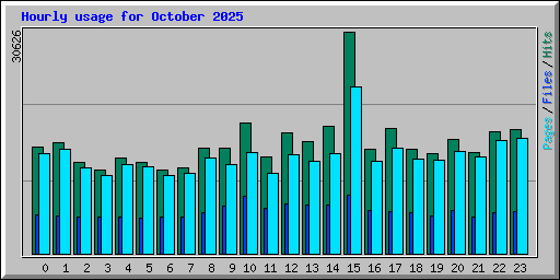 Hourly usage for October 2025