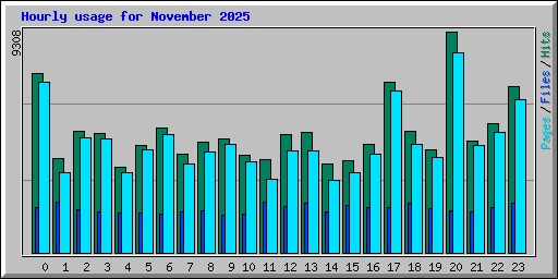 Hourly usage for November 2025