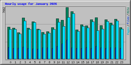 Hourly usage for January 2026