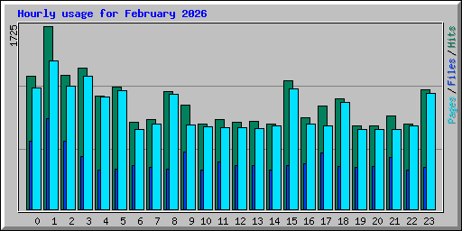 Hourly usage for February 2026